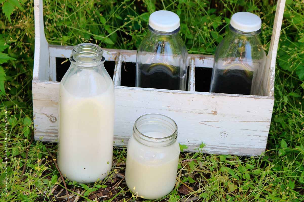 
Tragebehälter mit drei Glasflaschen mit Rohmilch steht auf einer Wiese.
